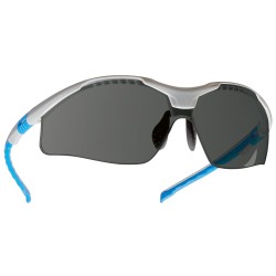 12 Stück Tector Schutzbrille EN 166 grau mit Sichtscheibe für optimalen Augen-Schutz