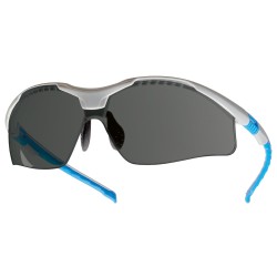 12 Stück Tector Schutzbrille EN 166 grau mit Sichtscheibe für optimalen Augen-Schutz