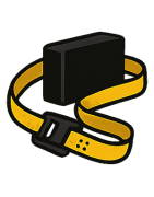 Fissaggio del carico